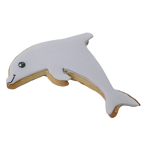 دولفين