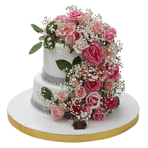Engagements & Weddings 9
