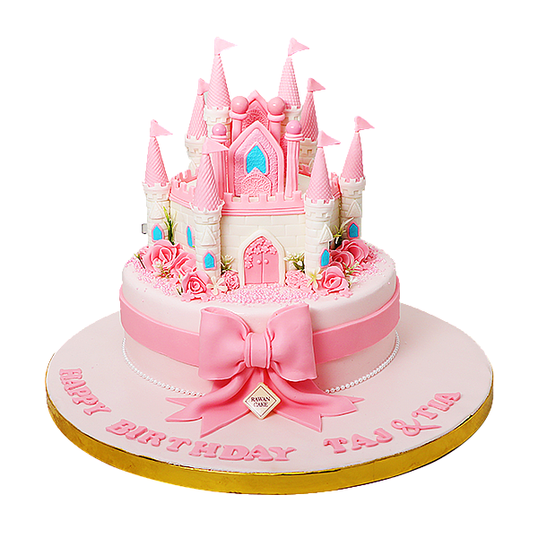 Twins Cake 3