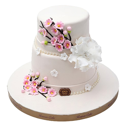 Engagements & Weddings 10