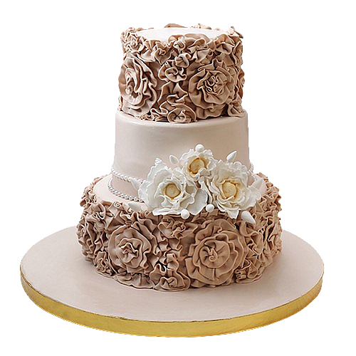 Engagements & Weddings 16