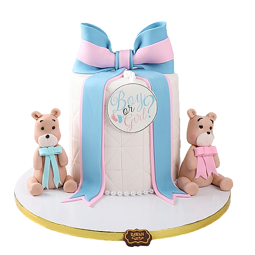 Gender Reveal 2