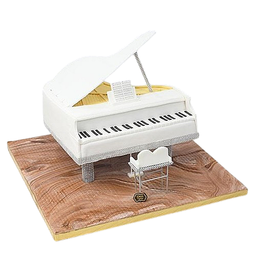 musician