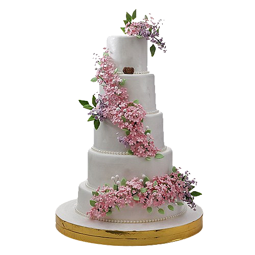 Engagements & Weddings 7