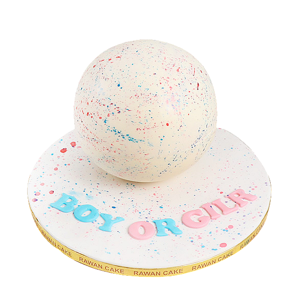 Baby Gender pinata