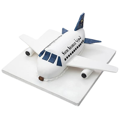 plane 1