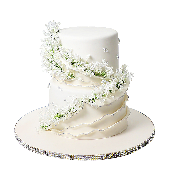 Engagements & Weddings 1